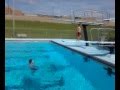 To Dive Or Not To Dive