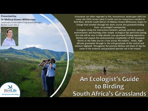 An Ecologist's Guide to Birding South Africa's Grasslands