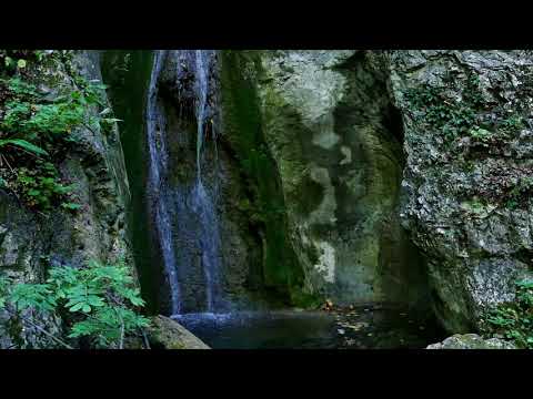 Psalm 3 Audiobook with Nature Sounds (Treasury of David by Spurgeon)