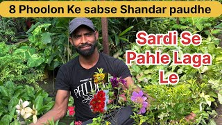 Sardi Se Pehle Laga Lo Ye 8 Shandar Phoolon Ke Paudhe | Best gardening tips ￼