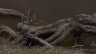 Death Grips - Birds (Student Music Video)