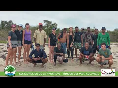 Save the Mangroves, Protect Life