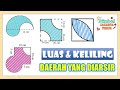 Soal Luas Dan Keliling Lingkaran Kelas 6