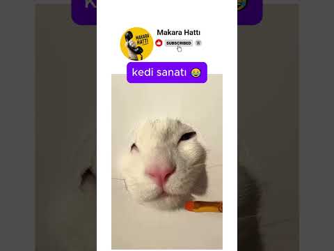gerçekçi bir kedi resmi çizmek 😂