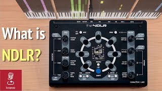 Video thumbnail for Loopop review: What is NDLR? by loopop