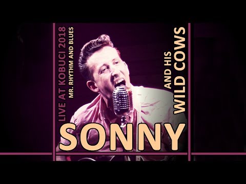 SONNY AND HIS WILD COWS | ROCKABILLY SHOW | KOBUCI | 2018
