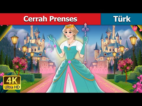 Cerrah Prenses | The Surgeon Princess in Turkish | @TürkiyeFairyTales