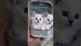 Download lagu https://youtu.be/kq7vlr6bDWk?si=ONXUDQiZ3dIkyJdP mp3 Download lagu https://youtu.be/kq7vlr6bDWk?si=ONXUDQiZ3dIkyJdP mp3