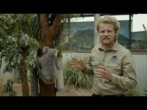 Oakvale Wildlife Park