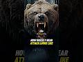 Joe Rogan: How Grizzly Bear Attacks Looks Like #joerogan #bear