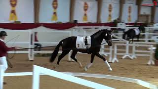 Vídeo de Datejust 2