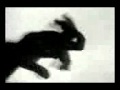 Schaten Movies 3gp