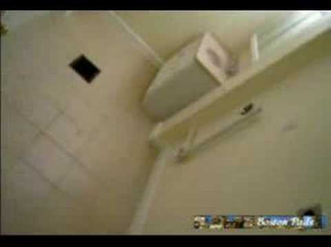 Charlestown Apartments at charlestownpads.com