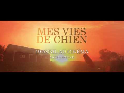 Mes Vies de Chien (A Dog's Purpose) - Le 19 avril au cinéma