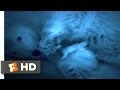 Arctic Tale 10 10 Movie CLIP Newborn Polar Bear 2007 HD