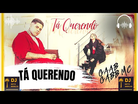 🎤 Tá Querendo - Perdida Na Brisa Ela Manda Mensagem - Gaab e Gaab Mc - Canal Dj Neto Araujo 🎧