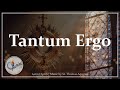 Tantum Ergo Catholic Latin Hymn Adoration Corpus Christi Choir Organ Latin English Lyrics