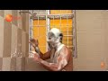 Kalyana Vaibhogam కల్యాణ వైభోగం Telugu Serial EP 454 Meghana Lokesh Zee Telu