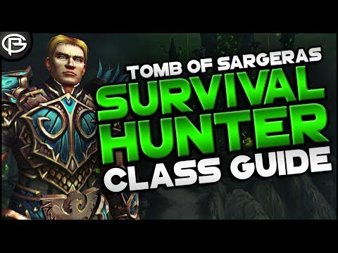 7.2.5 Basic Guides // Hunter - Survival