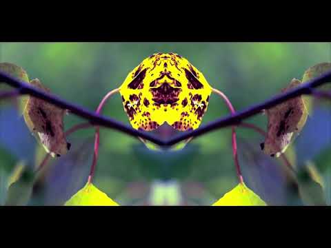 DOPE LEMON🍋 – Dope & Smoke × Slowed ¬ Reverb ×