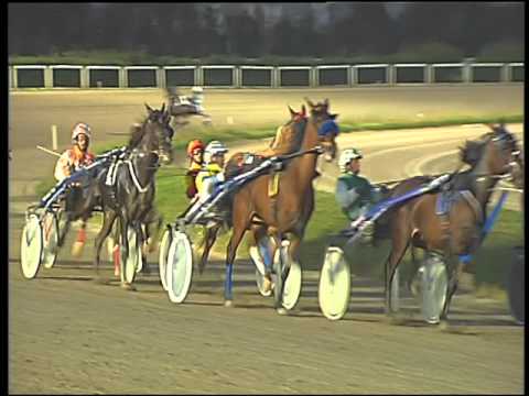 Trotto 20/03/2016 - 8° corsa