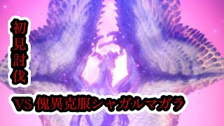 [MHR:SB]傀異克服シャガルマガラを初見で穿つ!
