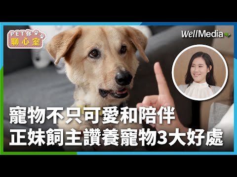 寵物療癒不只可愛和陪伴！正妹飼主現身分享 大讚養寵物3大好處和心境轉變【PET你聊心室】EP1 影音記者 君瑭 (上集)