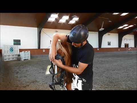 MUSTANG MAKEOVER 2018 Team Luuk (TAG 4357) - Update 6