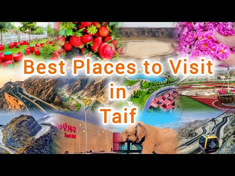 12 Best Places to Visit in Taif
