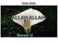 Irani Noha Allah Allah New Noha Whatsapp Status Allah Allah Noha