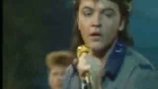 paul young - i&#39;m gonna tear your playhouse down