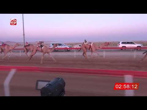  ش 3 (سرابه) لـ سعيد محمد بن حليس العفاري 4:44:28 ، مهرجان العين 2026/07/07 لقايا الوقن
