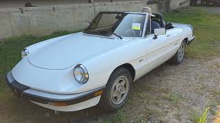  1989 Alfa Romeo Spider Graduate Walk Around and Drive By