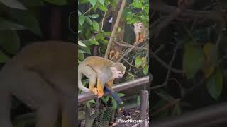 パート2 水族館辺