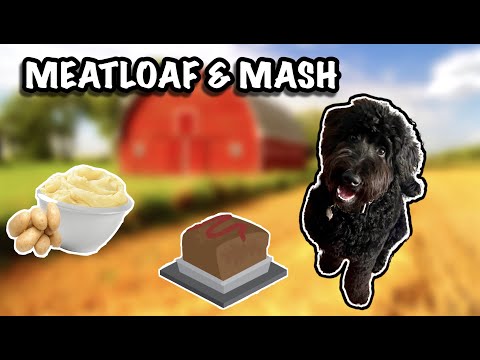 HOMEMADE DOG MEATLOAF & MASH POTATOES RECIPE (DOG...