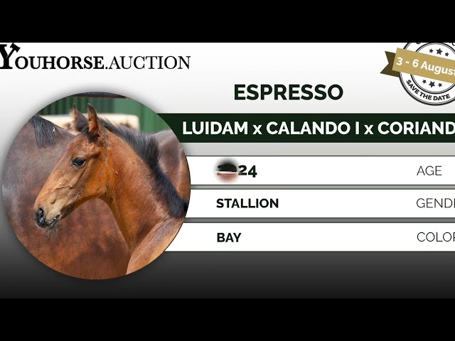 Espresso