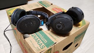 SENNHEISER HD600 VS FOCAL ELEX COMPARISON