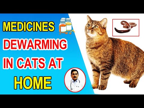 deworming cats at home || How to deworm Cats and kittens || pet care at home