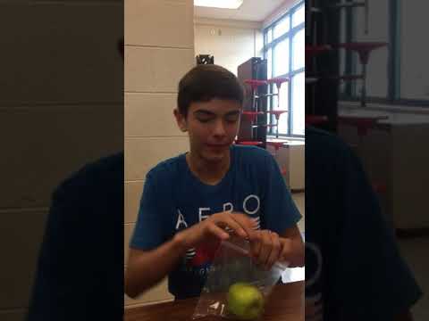 Brady’s food review ep:1 applesauce