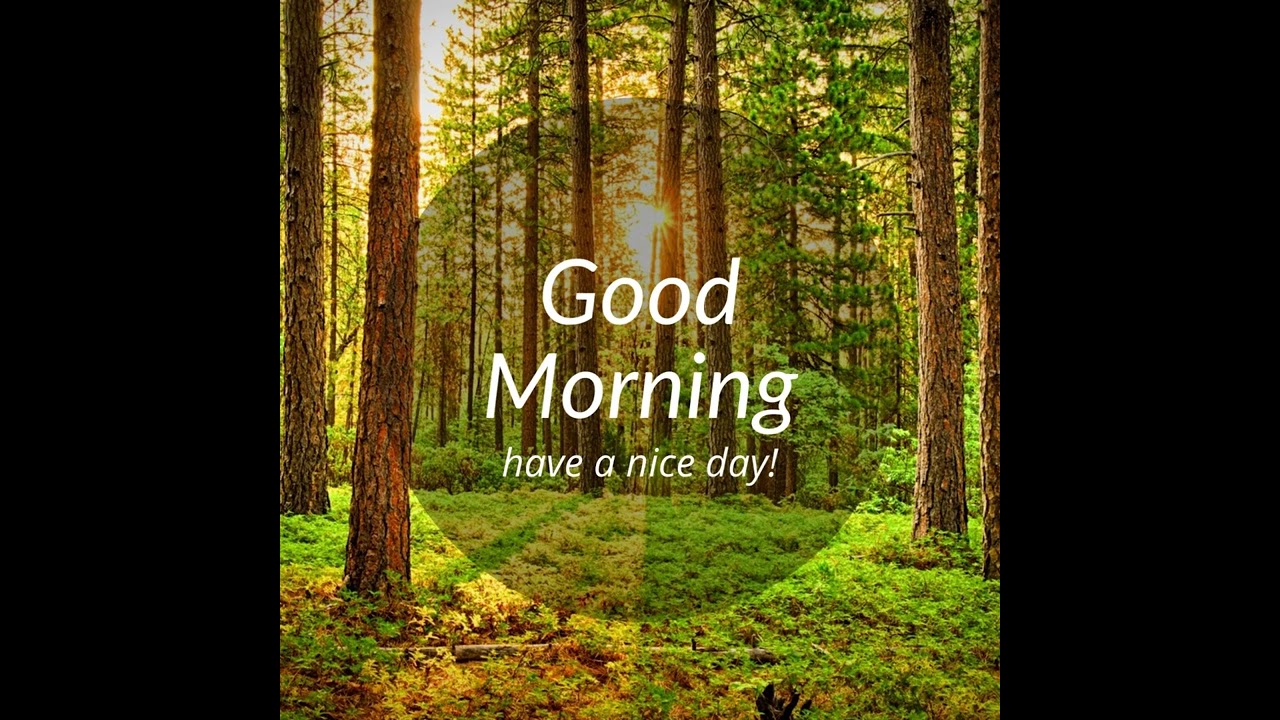 Good Morning greeting