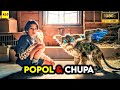 Bersatunya Popol Dan Kupa Melawan Pemburu Hewan Purba ALUR CERITA FILM