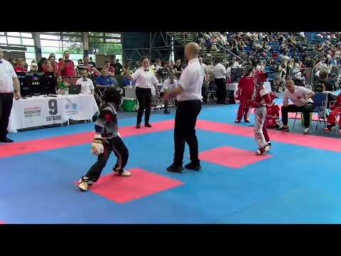 Team Renegade v Team Debreczeni Hungarian Kickboxing World Cup 2023