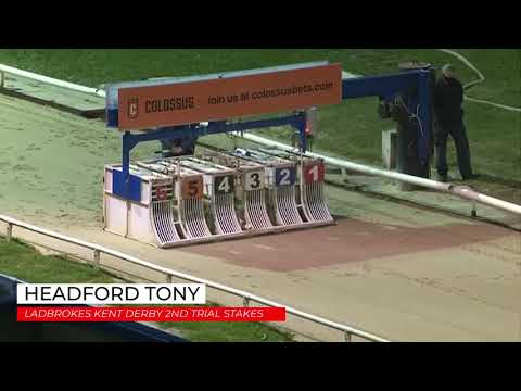 Headford Tony - Ladbrokes Kent Derby 2nd Trial Stakes