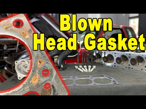 image-Can I replace a head gasket myself?