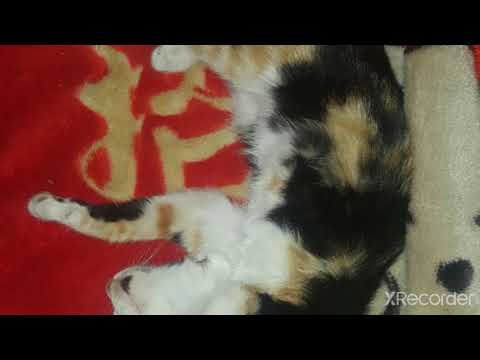 ❤❤❤🖒🖒🖒