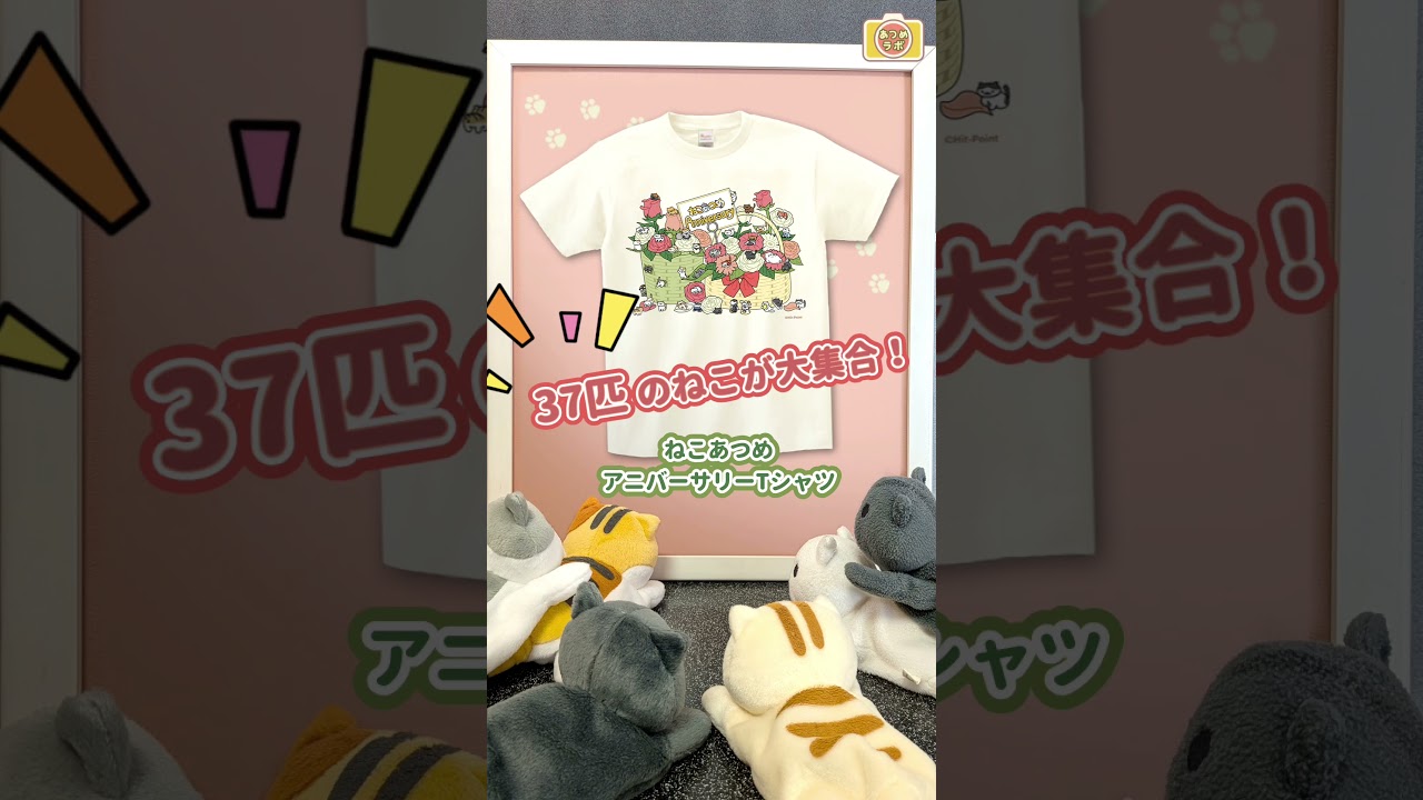 【あつめラボ】ねこあつめ Tシャツのおしらせ🐾 #ねこあつめ #shorts
