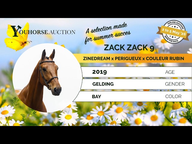 Zack Zack showvideo outdoor