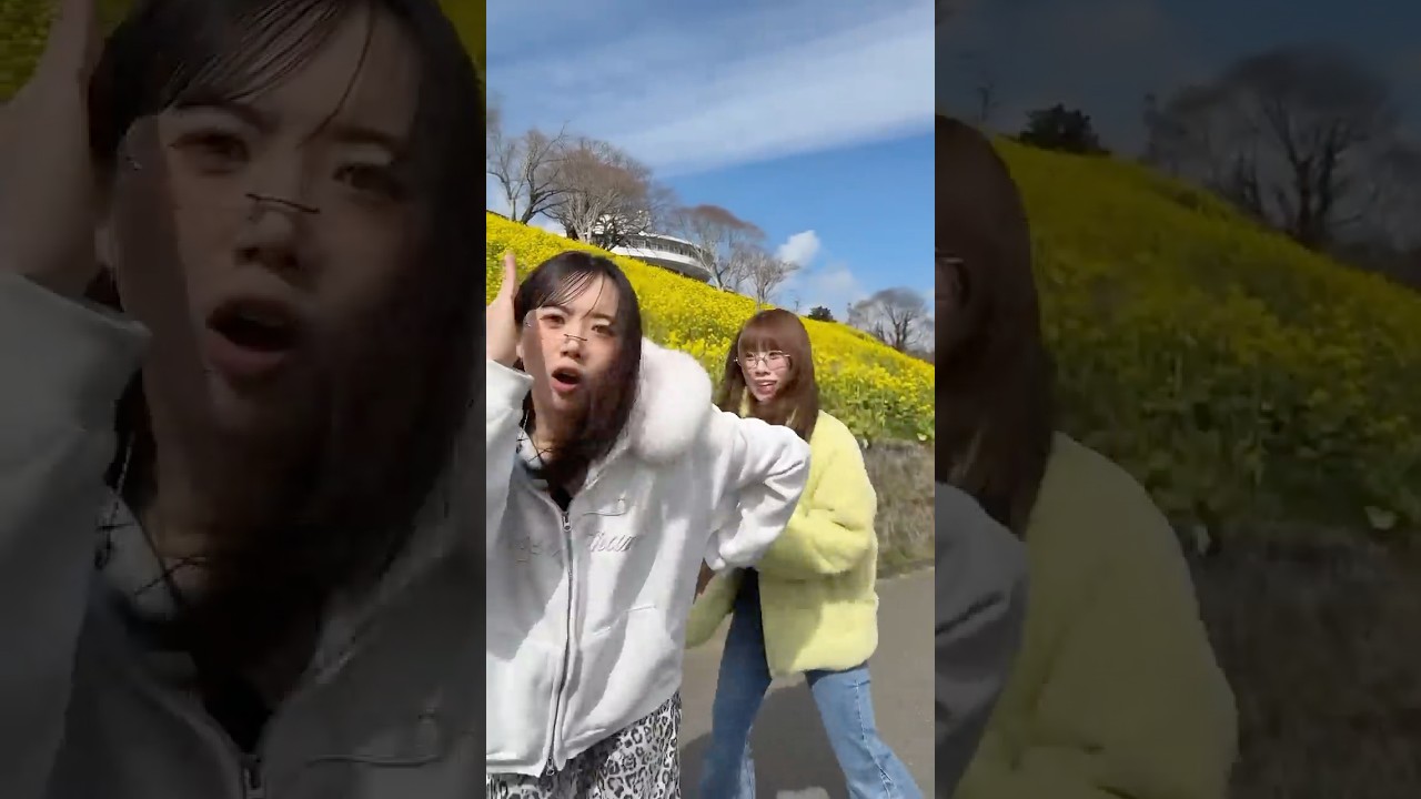 🌼🍃 #KEIKO #AYANE #ME_I_ゆにっとVlog #ME_I #ミーアイ #미아이 #shorts