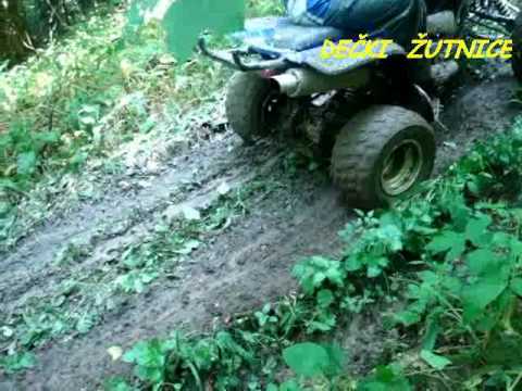 133.DEČKI  ŽUTNICE - U Belažu