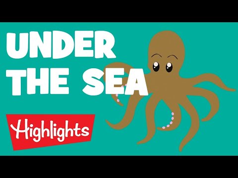Sea Creatures | 2020 | Compilation | Highlights Kids